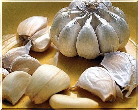 Garlic among foods to clog arteries