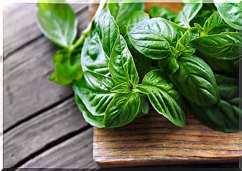 40 medicinal benefits of basil