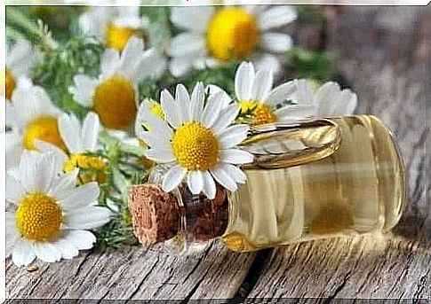 Remedies for muscle cramps with chamomile