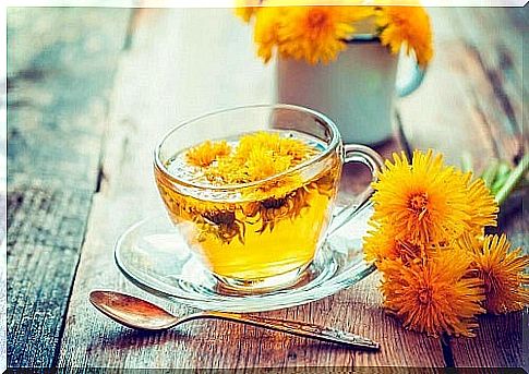 Dandelion included in teas to reduce uric acid levels