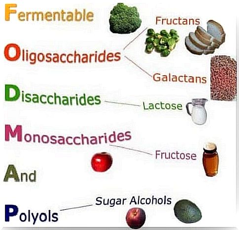 The main diets for irritable bowel syndrome