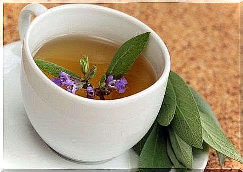 Sage on the list of natural ingredients to treat sore throat