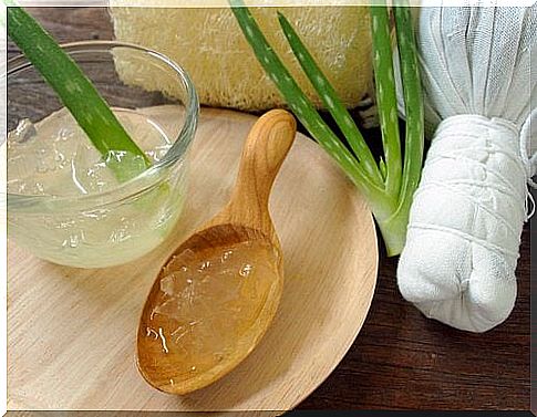 Aloe vera as an ingredient in natural remedies against varicose veins