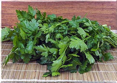 Parsley included in natural remedies against varicose veins