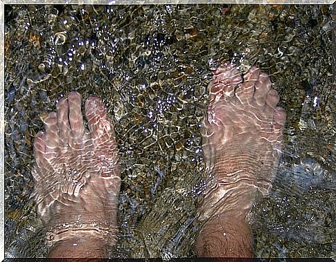 Feet submerged in water