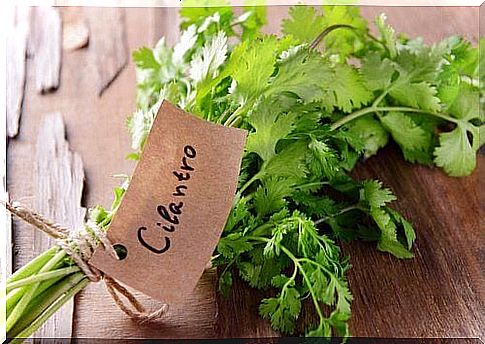 7 health benefits of coriander