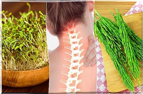 7 medicinal plants beneficial for the skeletal system