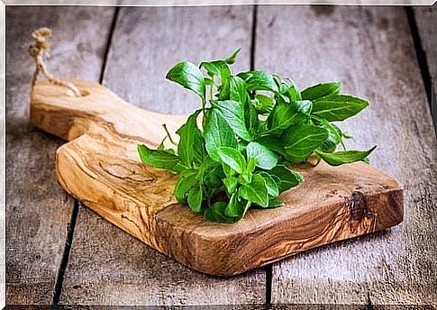 Medicinal plants beneficial to the bone system such as basil