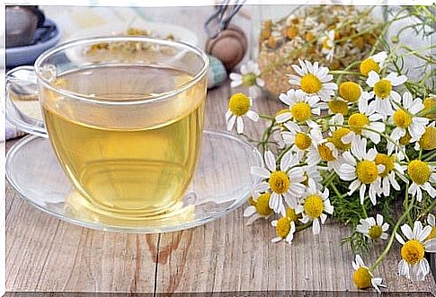 Chamomile is included in the list of beneficial herbs for the skeletal system