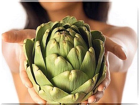 Artichokes are herbs for weight loss