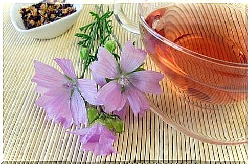 Tricks to combat sinusitis with mallow infusion