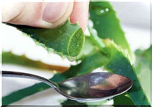 Aloe vera gel can help you fight diabetes