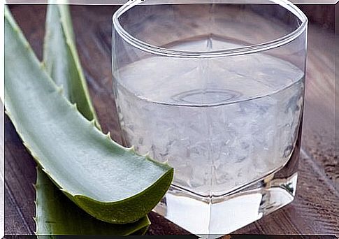 Aloe vera juice in the glass