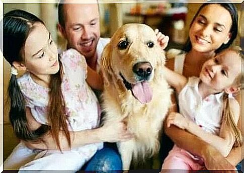 Family that has a dog