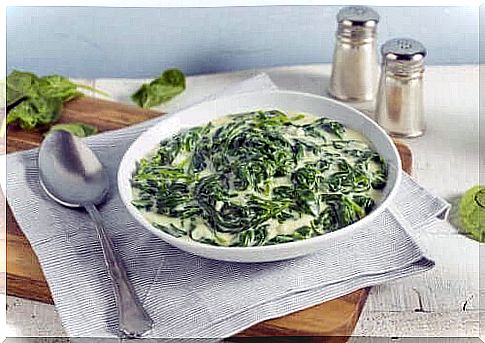 Bowl with cream of cabbage and spinach