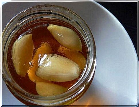 Garlic and honey on an empty stomach: 7 benefits