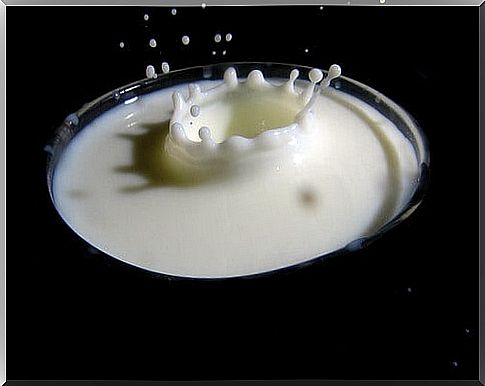 Cleanses the kidneys with dairy products