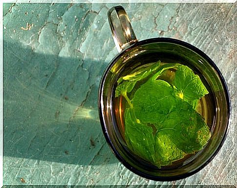 Clean the kidneys with mint