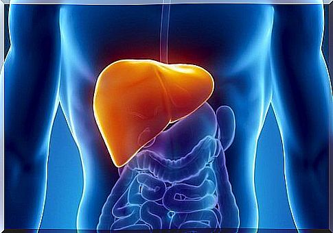 Giving up refined sugar protects the liver