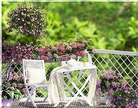 Ecological roofs with plants and flowers