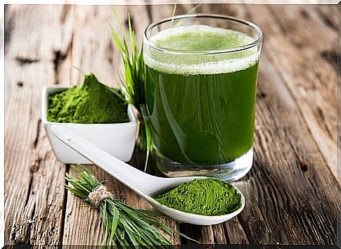 How and when to consume spirulina dissolved in water