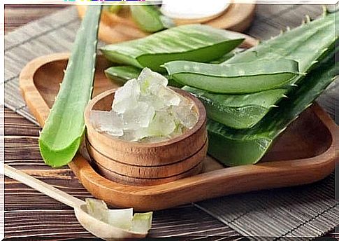 Aloe vera helps clean oily hair