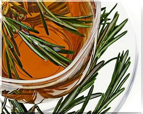 How to grow rosemary 