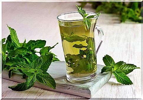 Medicinal properties of mint tea