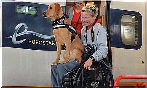 Paralympic sportswoman Marieke Vervoort in a wheelchair