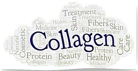 Sources of collagen and their importance