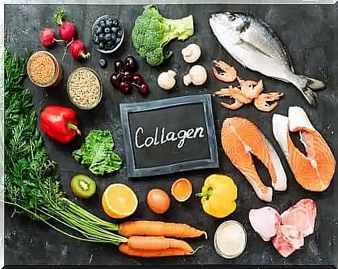 Sources of collagen