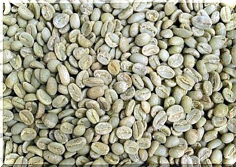 The health benefits of green coffee: what did you not know about it?