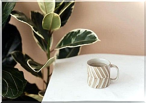 Coffee cup