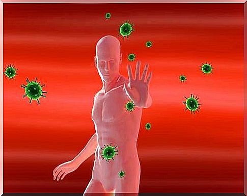 Bacteria that attack the body