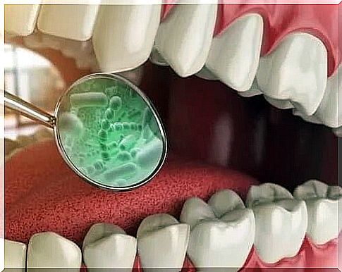 What bacteria are in your mouth?